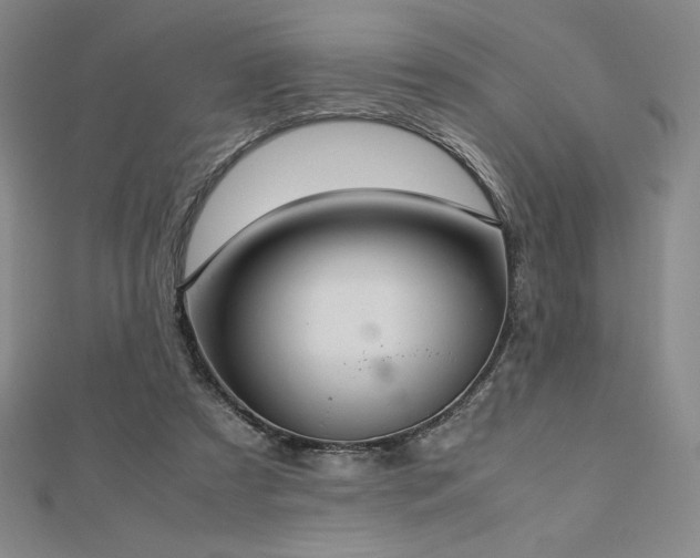 X0000113150305200909041239