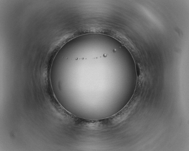 X0000113150306200909041239