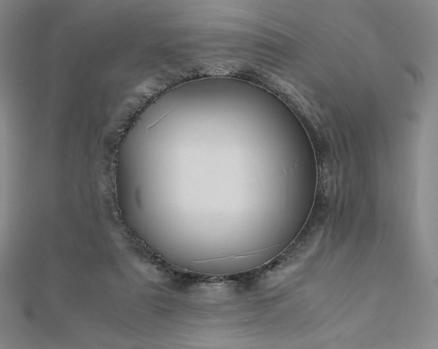 X0000113150307200909041239