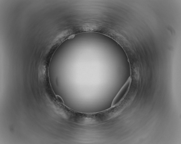 X0000113150308200909041239