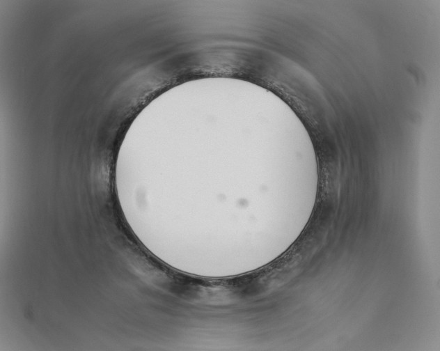 X0000113150309200909041239