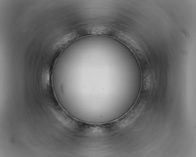 X0000113150310200909041239