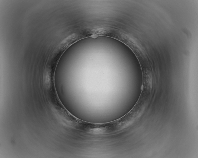 X0000113150312200909041239