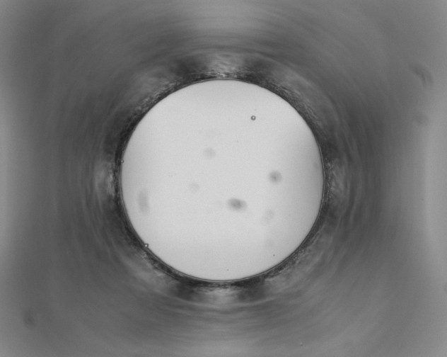 X0000113150313200909041239