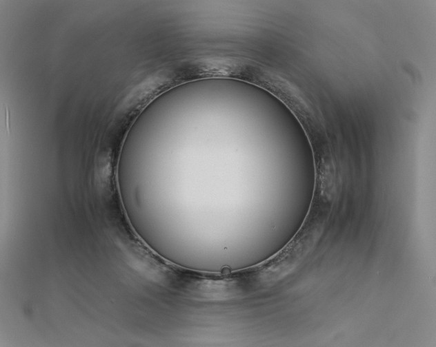 X0000113150314200909041239