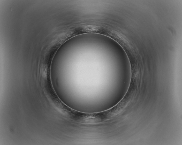 X0000113150315200909041239