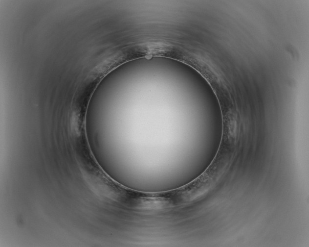 X0000113150316200909041239