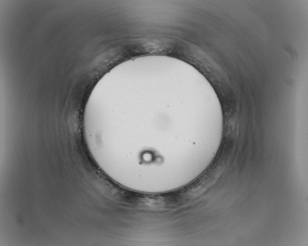 X0000113150317200909041239