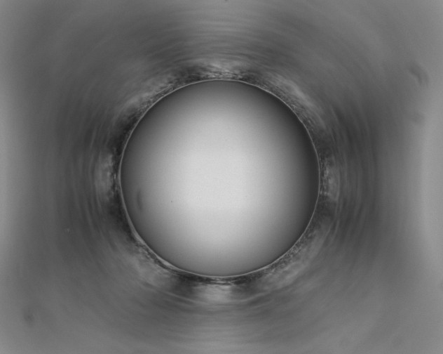 X0000113150318200909041239