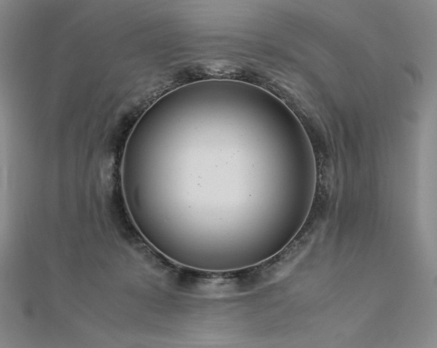 X0000113150319200909041239