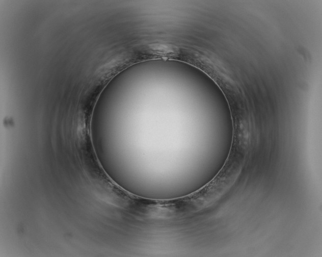 X0000113150320200909041239