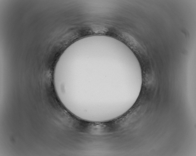 X0000113150321200909041239