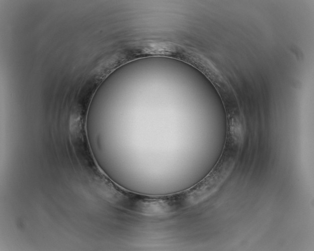 X0000113150322200909041239