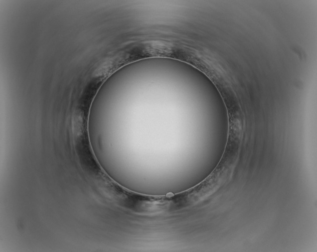 X0000113150323200909041239