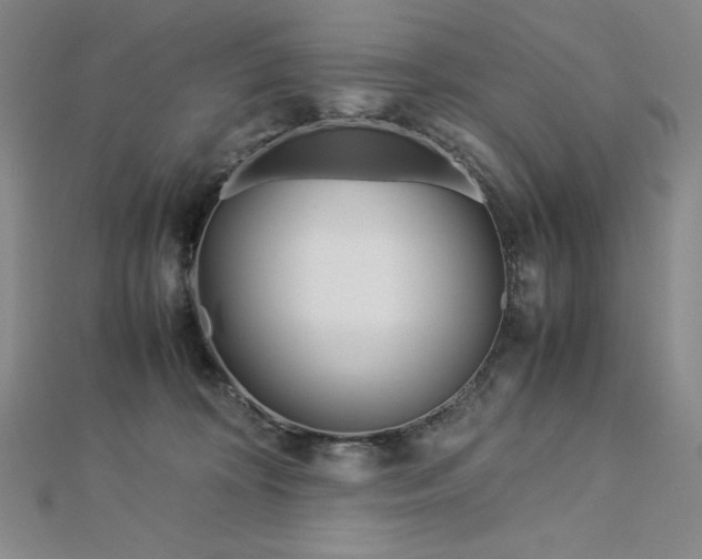 X0000113150324200909041239