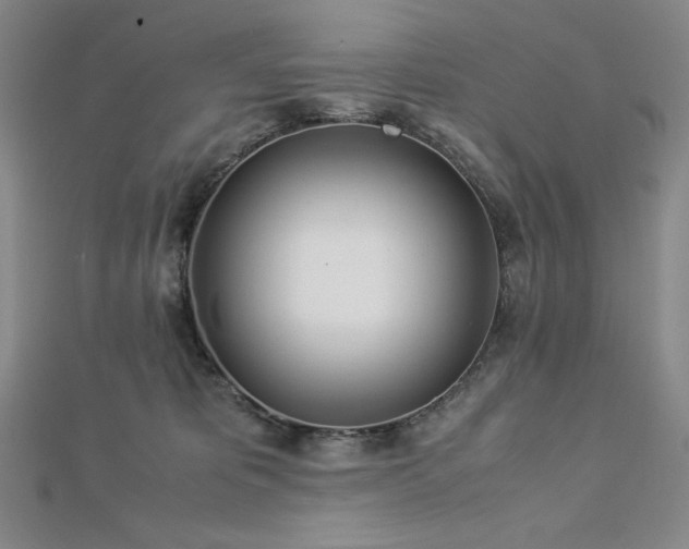 X0000113150325200909041239