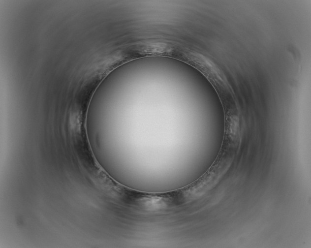 X0000113150326200909041239