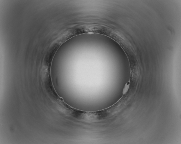 X0000113150327200909041239