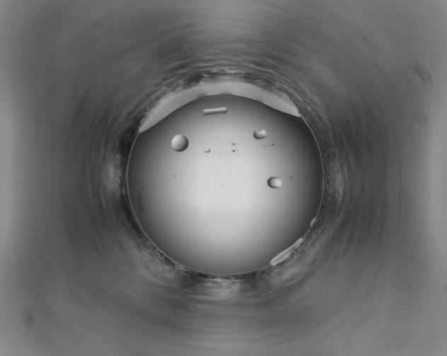 X0000113150328200909041239