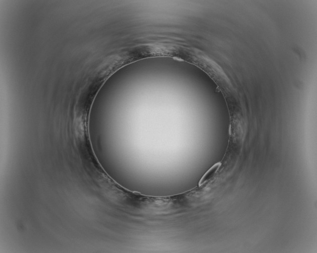 X0000113150329200909041239