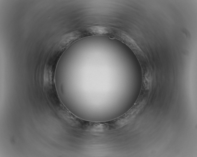 X0000113150330200909041239