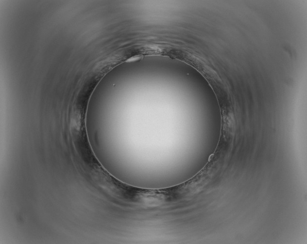 X0000113150331200909041239