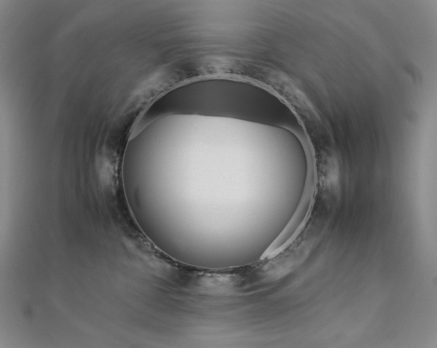 X0000113150332200909041239