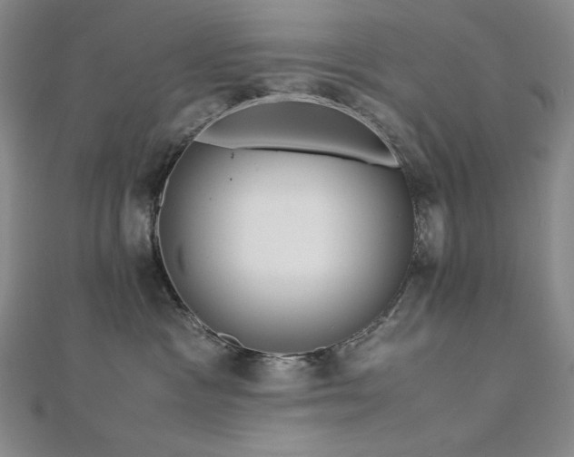 X0000113150333200909041239