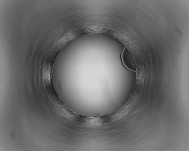 X0000113150334200909041239