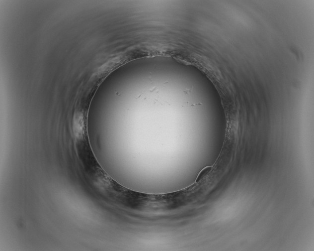 X0000113150335200909041239