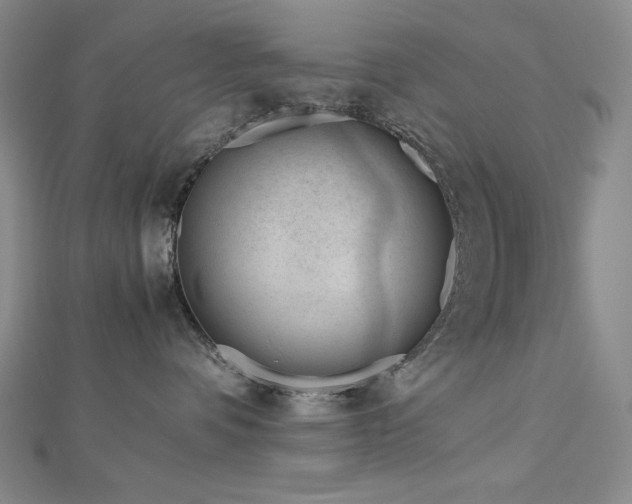 X0000113150336200909041239