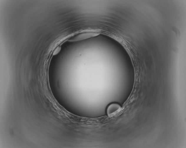 X0000113150337200909041238