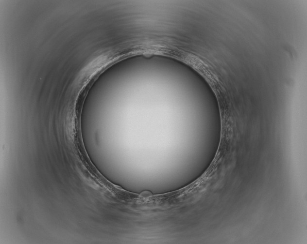 X0000113150338200909041238