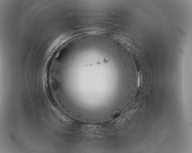 X0000113150339200909041238