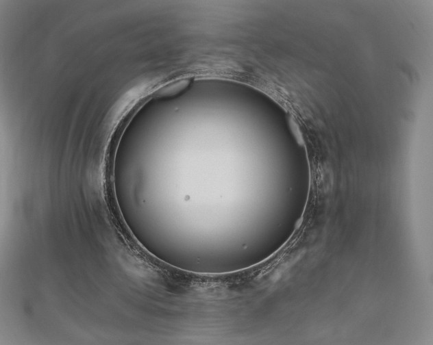 X0000113150340200909041238