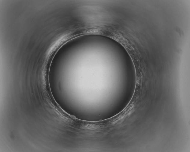 X0000113150341200909041238