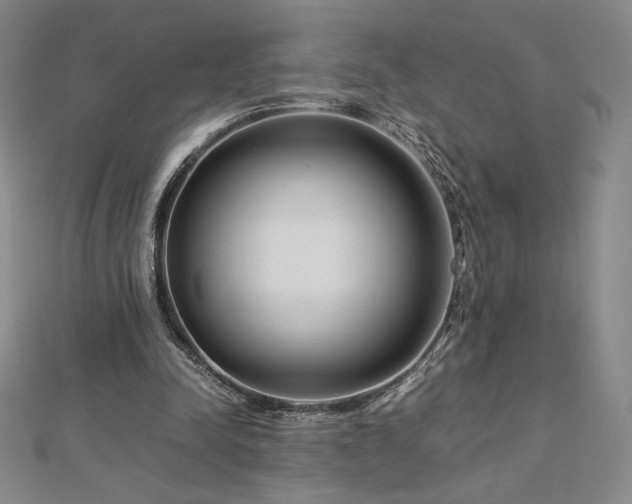 X0000113150342200909041238