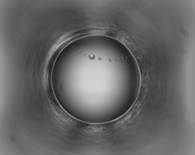 X0000113150343200909041238