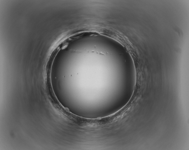 X0000113150344200909041238