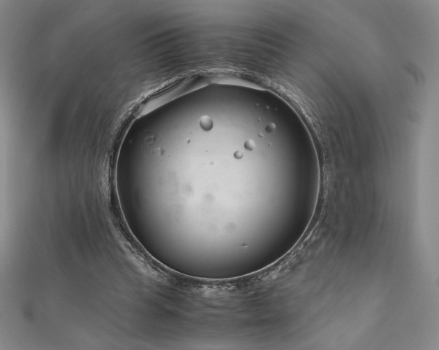 X0000113150345200909041238