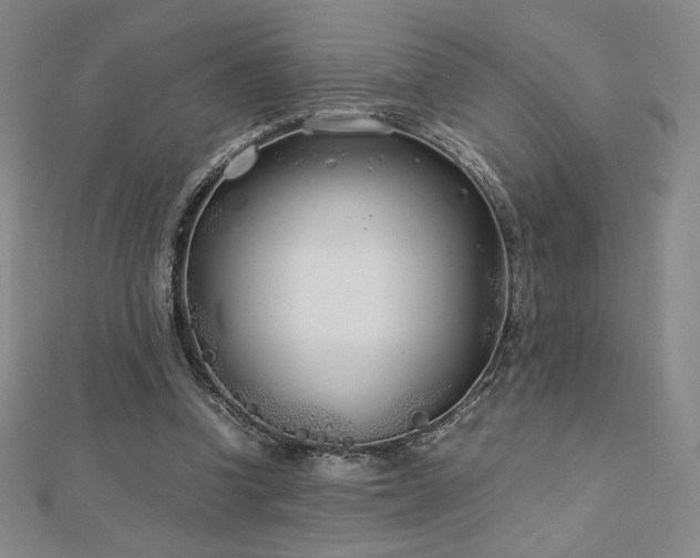 X0000113150346200909041238