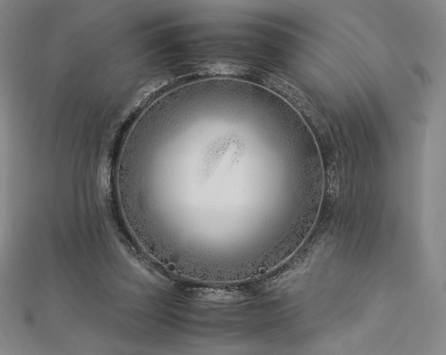 X0000113150347200909041238