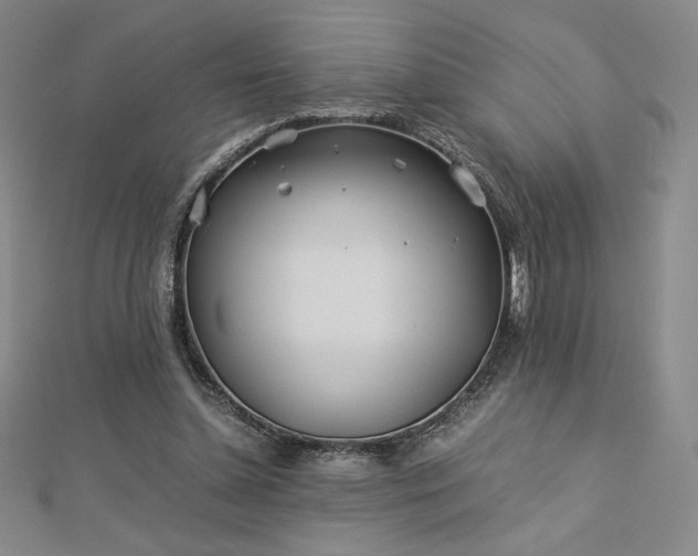 X0000113150348200909041238