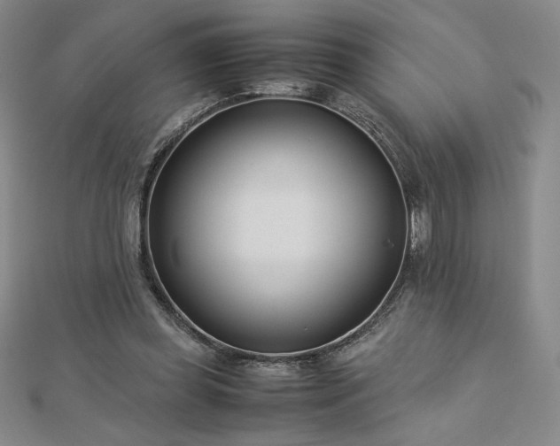 X0000113150349200909041238