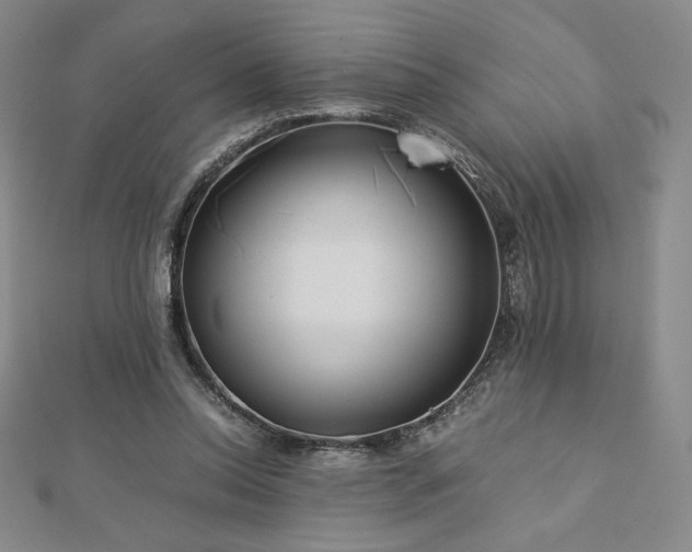 X0000113150350200909041238