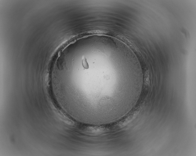 X0000113150351200909041239