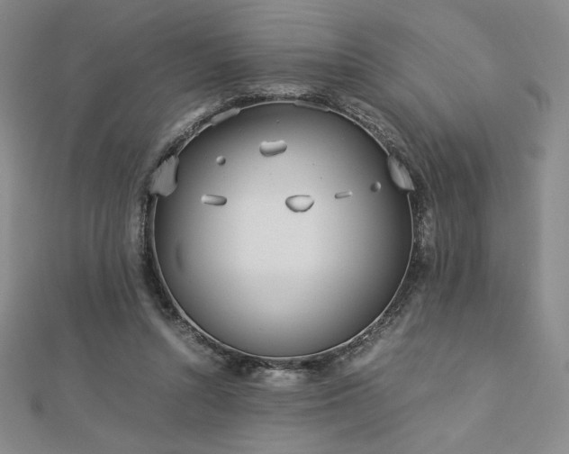 X0000113150352200909041239