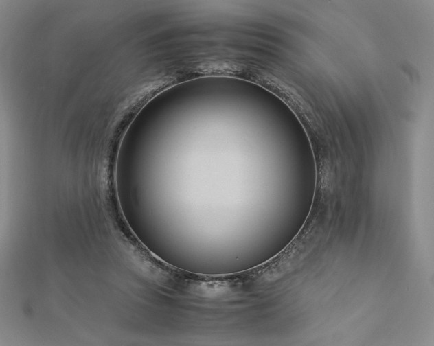 X0000113150353200909041239