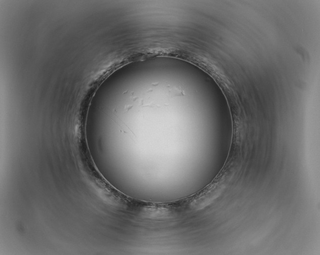 X0000113150354200909041239