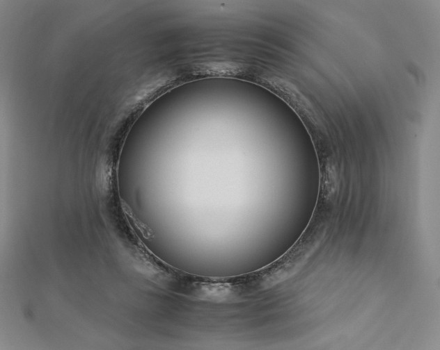 X0000113150355200909041239